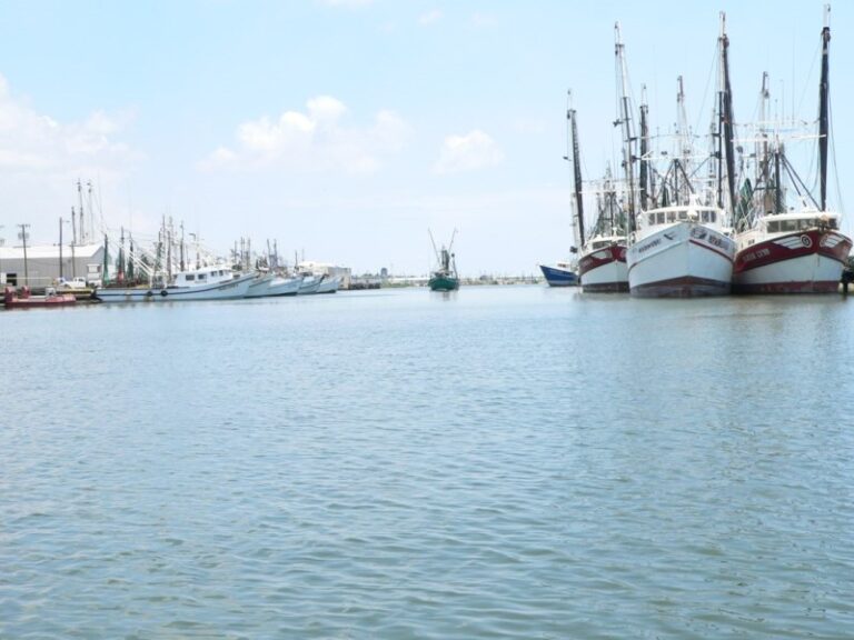 Overview – Port of Palacios